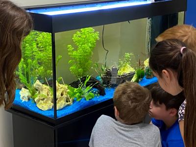 Das Schulaquarium - unser neuer Blickfang