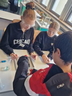 Viertklässler schnuppern in die Lerninhalte der Realschule Plus herein