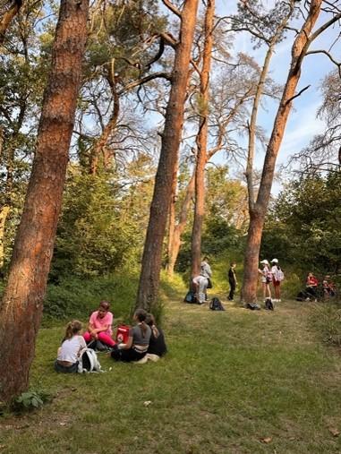 Die Kinder genießen den Waldtag