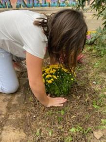 Der Garten wird neu bepflanzt