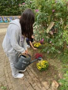 Damit alles gut wächst, wurde auch gleich gegossen