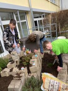 Arbeiten am Schulgarten