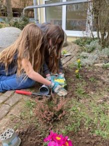 Arbeiten am Schulgarten