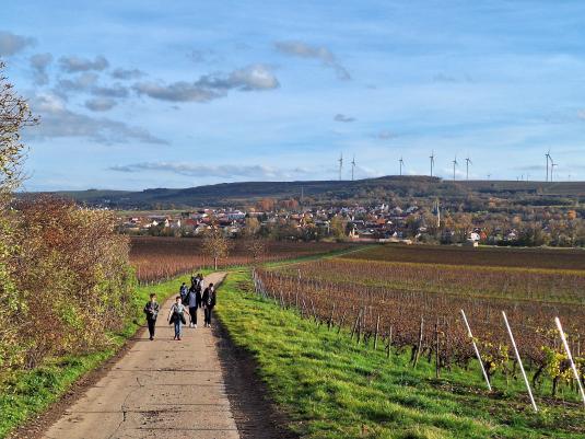 Die Kinder spazieren durch die Weinberge