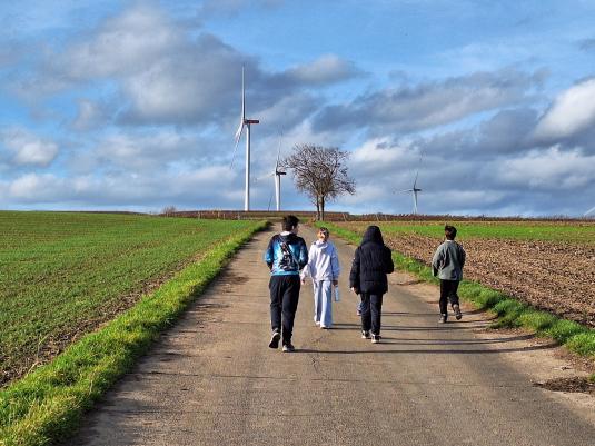 Die Kinder spazieren durch die Weinberge
