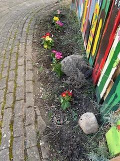 Erste Blumen im Schulgarten