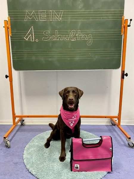 Mein 1. Schultag